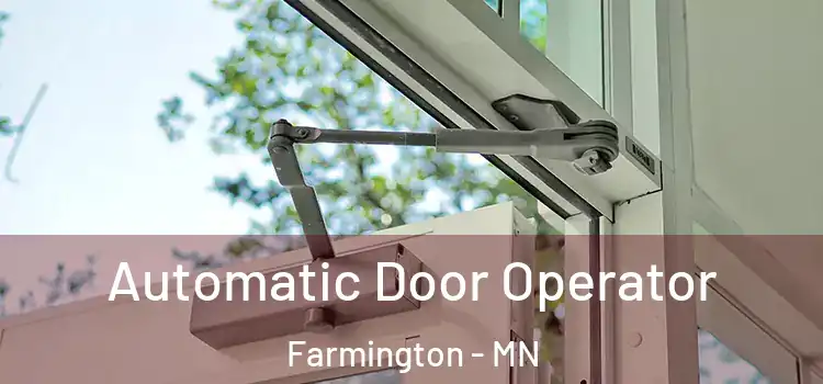 Automatic Door Operator Farmington - MN