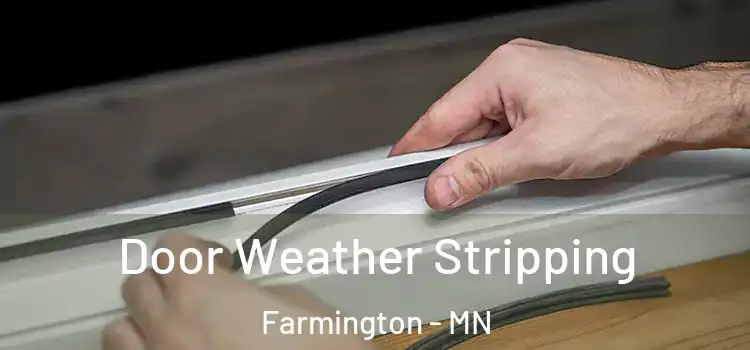 Door Weather Stripping Farmington - MN