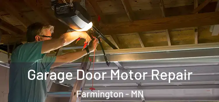  Garage Door Motor Repair Farmington - MN