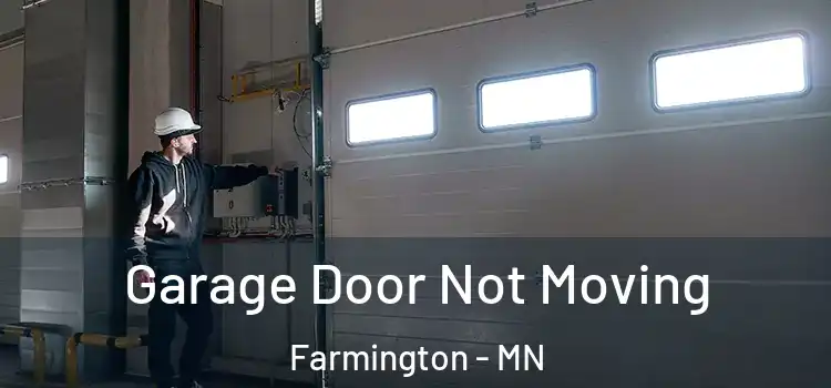  Garage Door Not Moving Farmington - MN