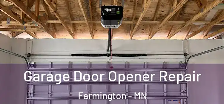  Garage Door Opener Repair Farmington - MN