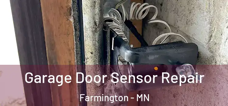 Garage Door Sensor Repair Farmington - MN