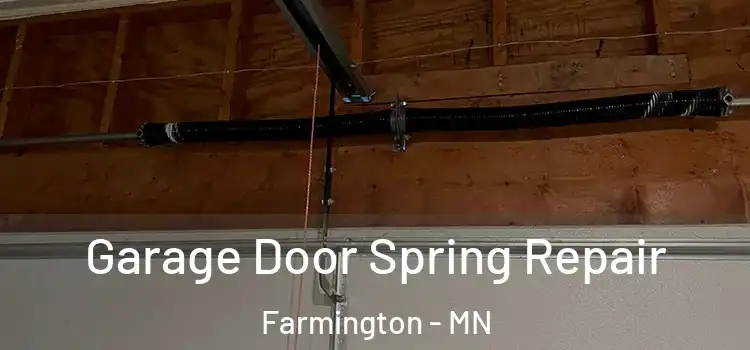  Garage Door Spring Repair Farmington - MN
