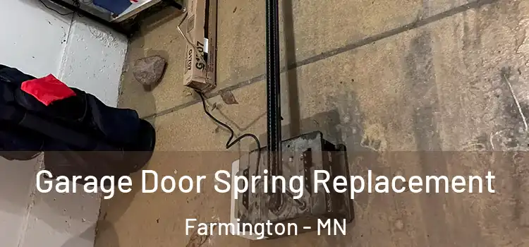  Garage Door Spring Replacement Farmington - MN