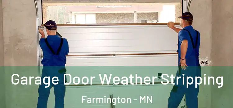  Garage Door Weather Stripping Farmington - MN