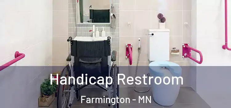  Handicap Restroom Farmington - MN