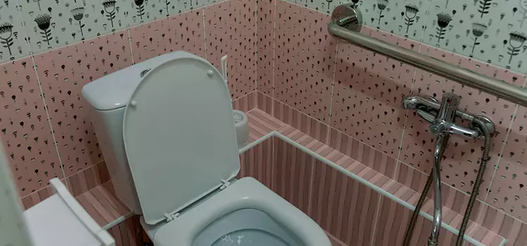 Meeting Diverse Needs With Accessible Restroom Solutions in Farmington, MN