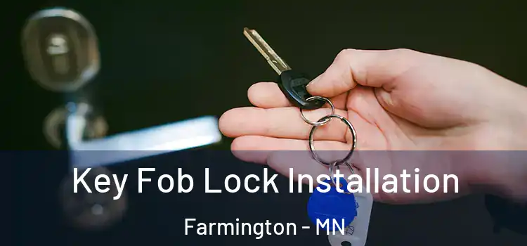  Key Fob Lock Installation Farmington - MN
