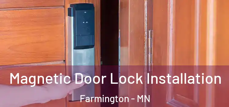  Magnetic Door Lock Installation Farmington - MN