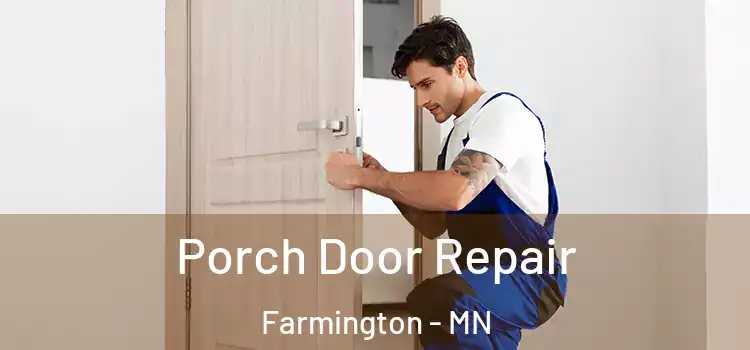  Porch Door Repair Farmington - MN