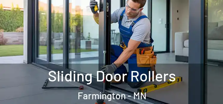 Sliding Door Rollers Farmington - MN