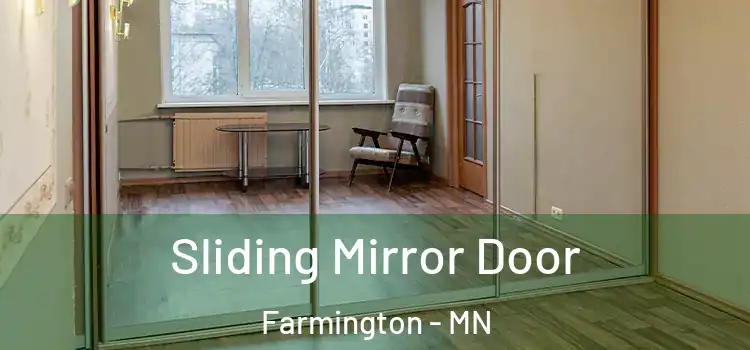  Sliding Mirror Door Farmington - MN